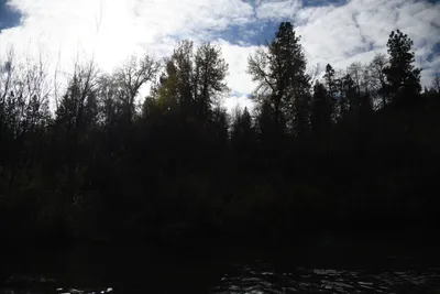 DSC_0227 (Large).JPG